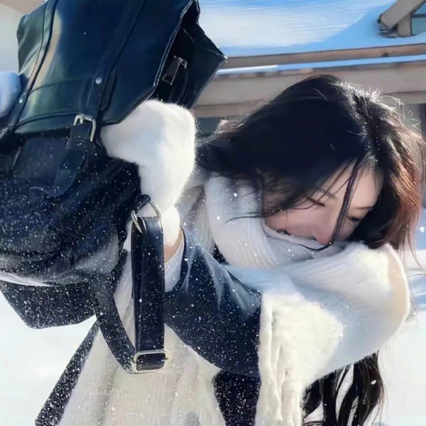 红盾先锋
