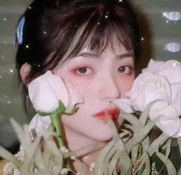 侠女十三妹